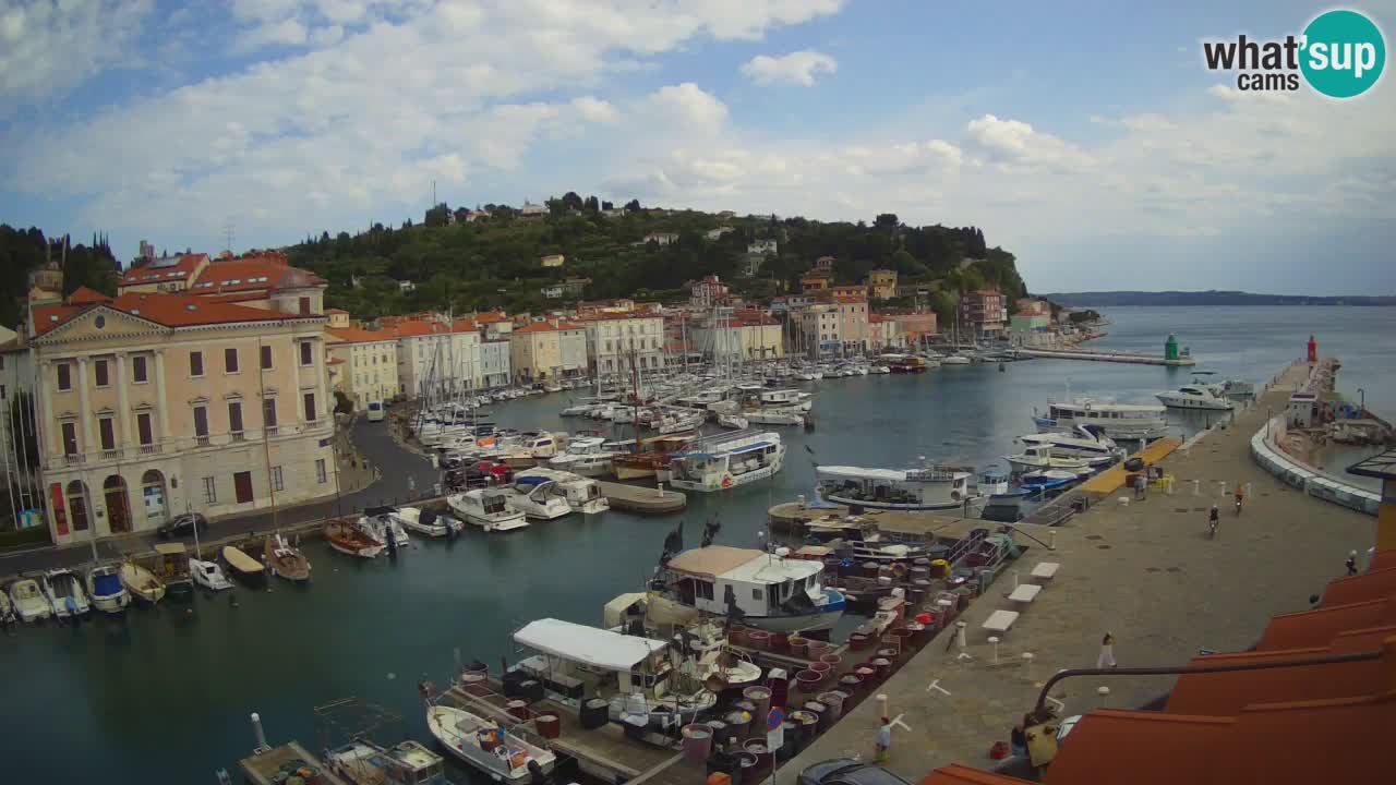 Web kamera uživo iz Pirana “Mandrač” – Nevjerojatan pogled uživo iz Ville Piranesi