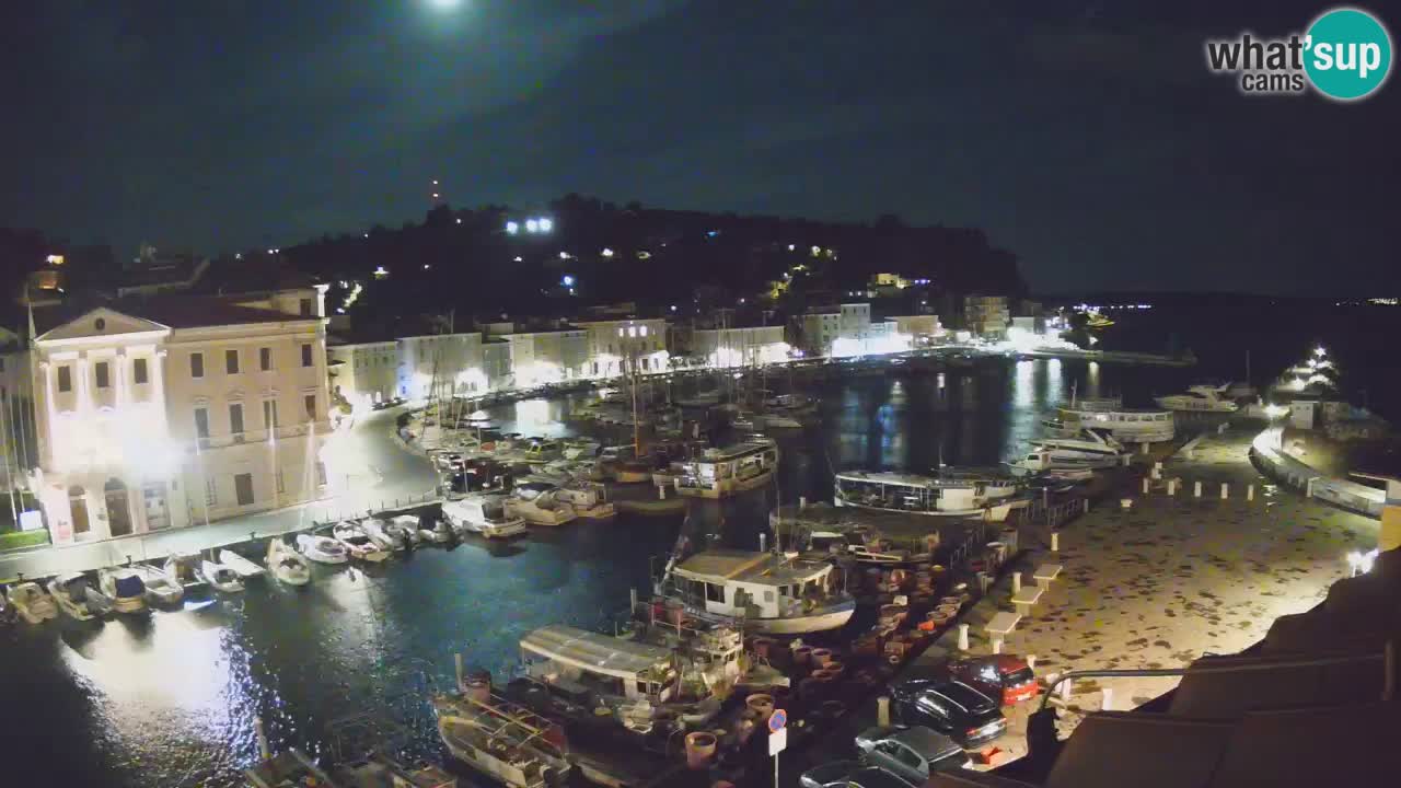 Iz Pirana Spletna kamera v živo “Mandrač” – Neverjeten pogled v živo iz Vile Piranesi