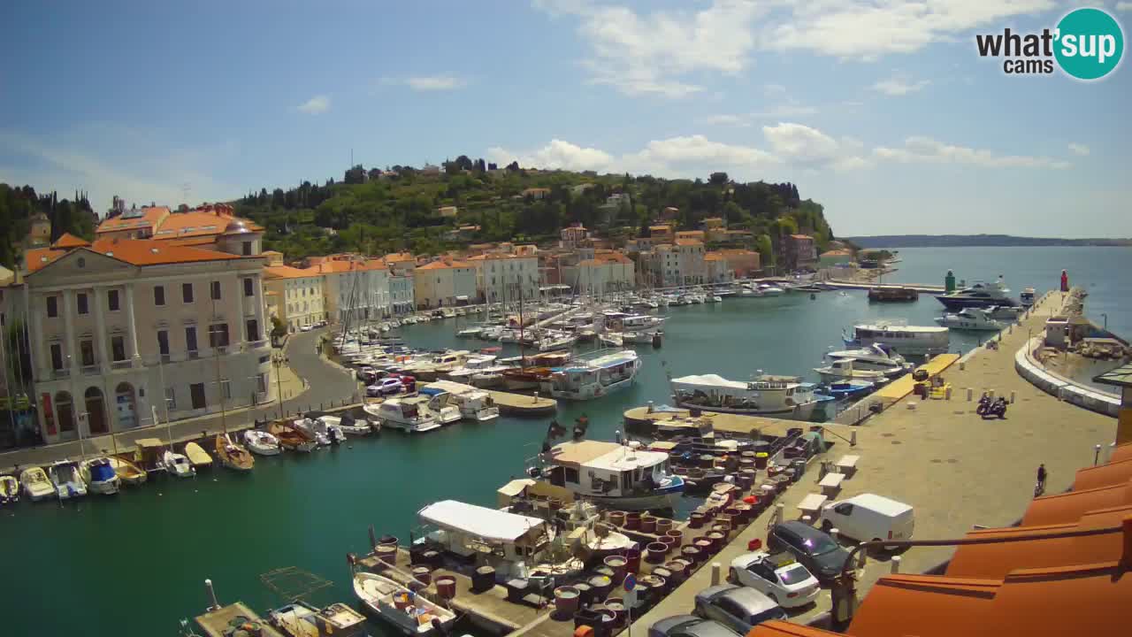 Live webcam da Pirano “Mandrač” – Splendida vista live da Villa Piranesi