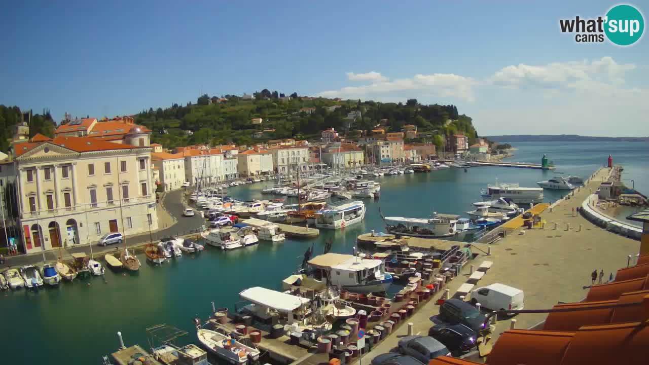Web kamera uživo iz Pirana “Mandrač” – Nevjerojatan pogled uživo iz Ville Piranesi