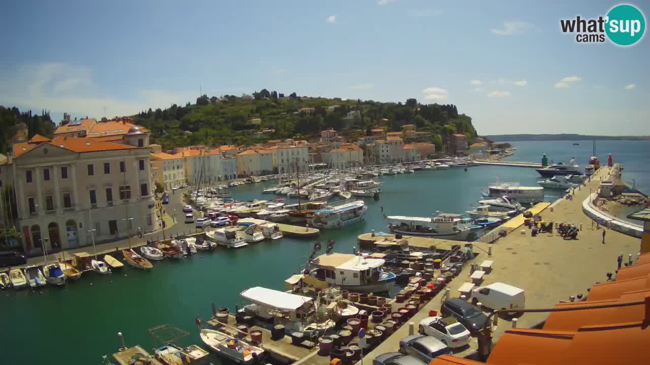 Live webcam da Pirano “Mandrač” – Splendida vista live da Villa Piranesi