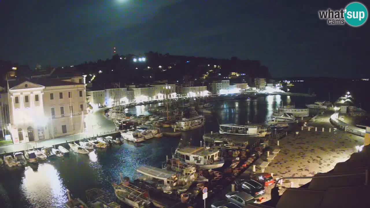 Iz Pirana Spletna kamera v živo “Mandrač” – Neverjeten pogled v živo iz Vile Piranesi