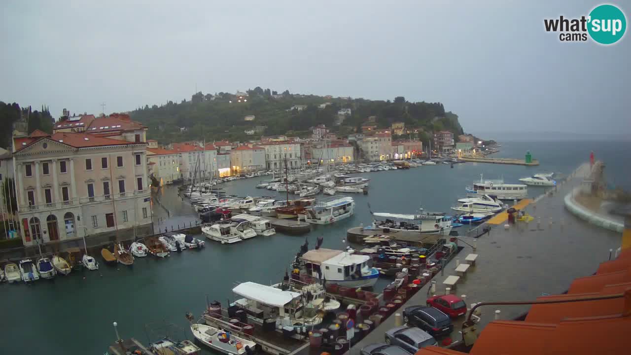 Iz Pirana Spletna kamera v živo “Mandrač” – Neverjeten pogled v živo iz Vile Piranesi