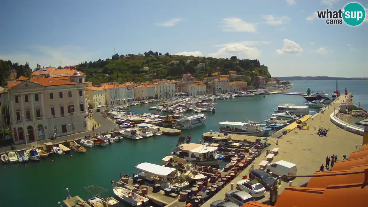 Live webcam da Pirano “Mandrač” – Splendida vista live da Villa Piranesi