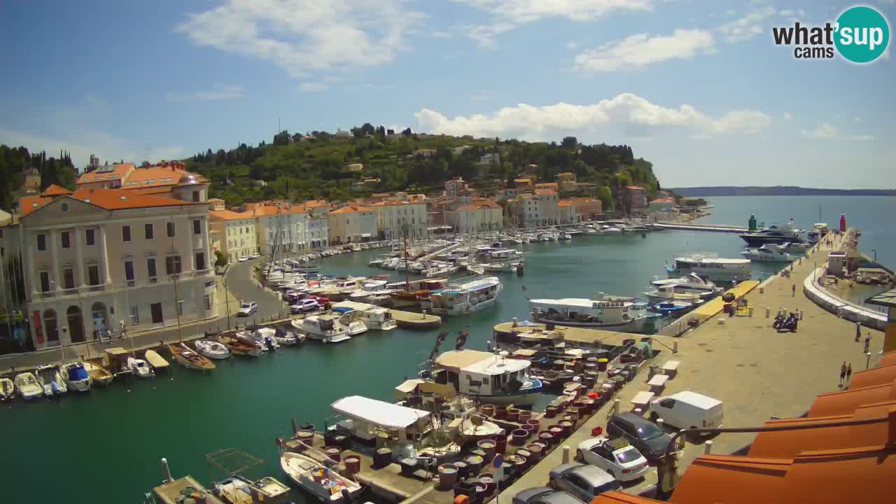 Web kamera uživo iz Pirana “Mandrač” – Nevjerojatan pogled uživo iz Ville Piranesi