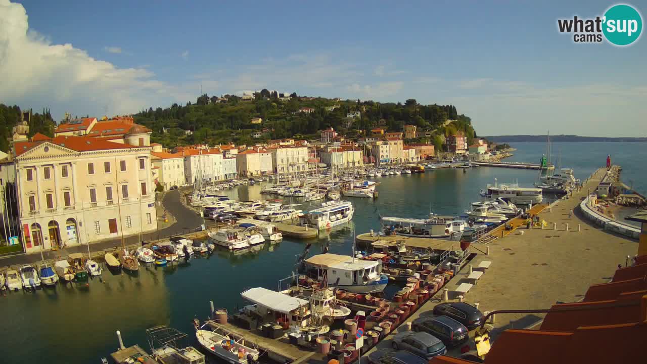 Web kamera uživo iz Pirana “Mandrač” – Nevjerojatan pogled uživo iz Ville Piranesi