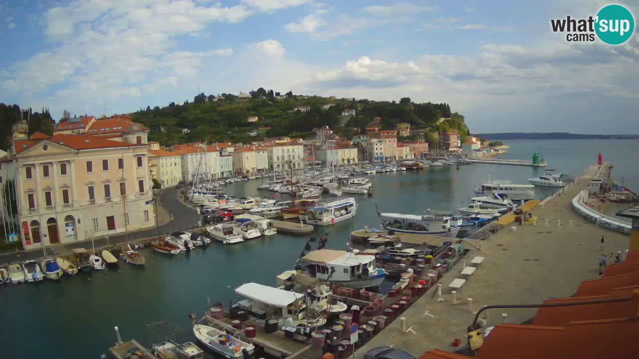 Web kamera uživo iz Pirana “Mandrač” – Nevjerojatan pogled uživo iz Ville Piranesi
