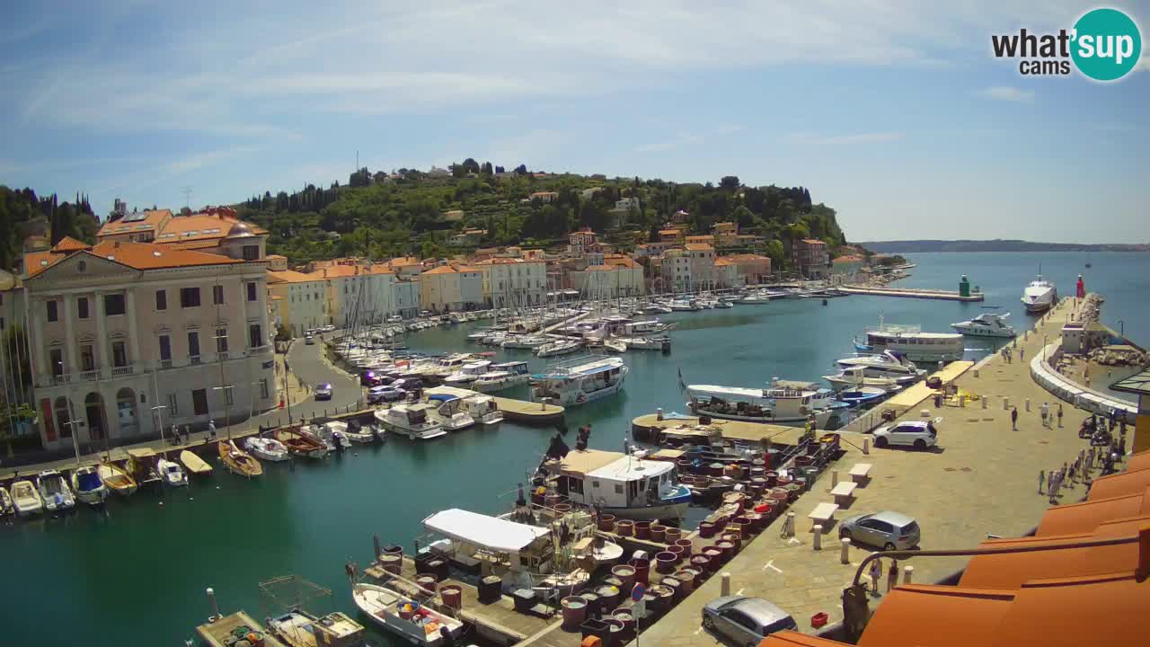 Live webcam from Piran “Mandrač” – Amazing live view from Villa Piranesi
