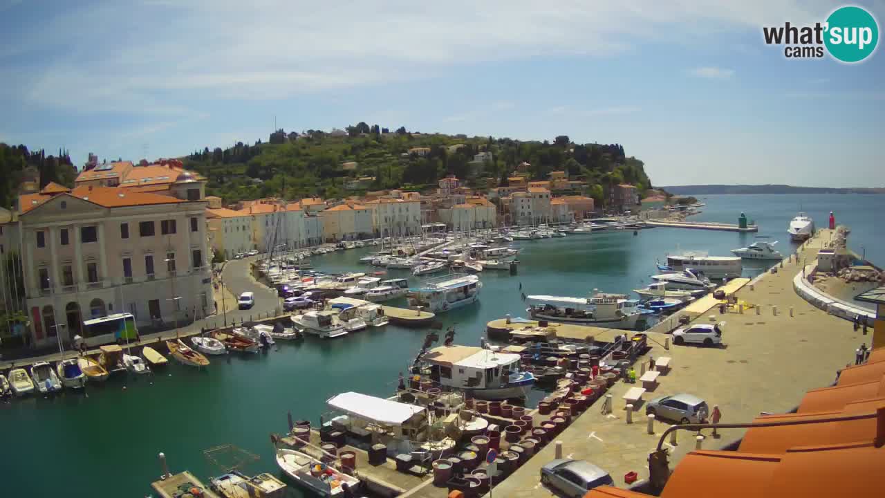 Live webcam da Pirano “Mandrač” – Splendida vista live da Villa Piranesi