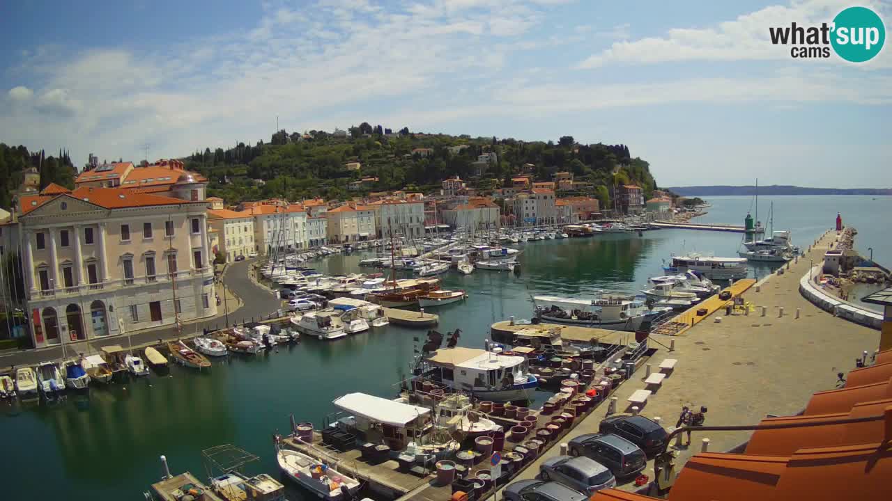 Live webcam da Pirano “Mandrač” – Splendida vista live da Villa Piranesi