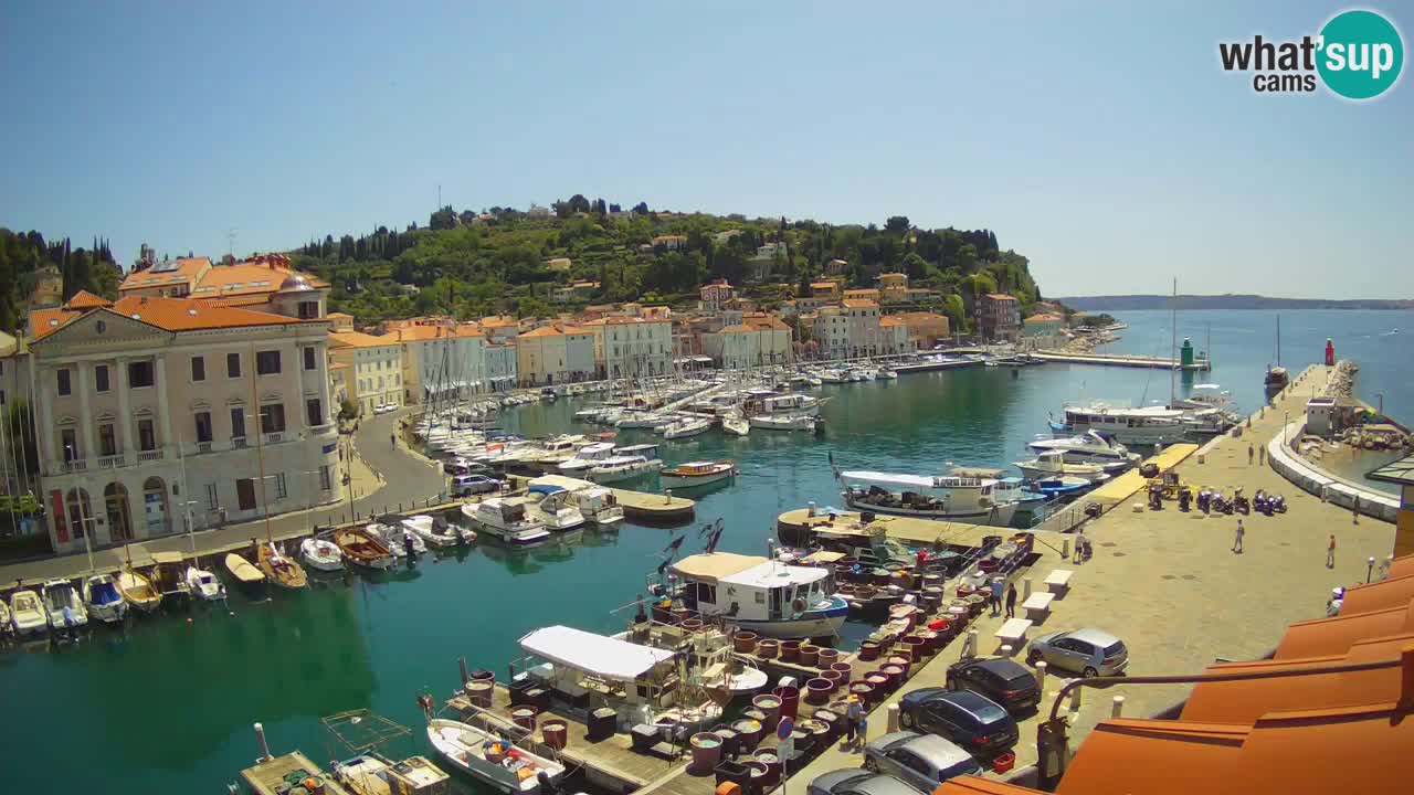 Live-Webcam aus Piran “Mandrač” – Erstaunliche Live-Ansicht von Villa Piranesi