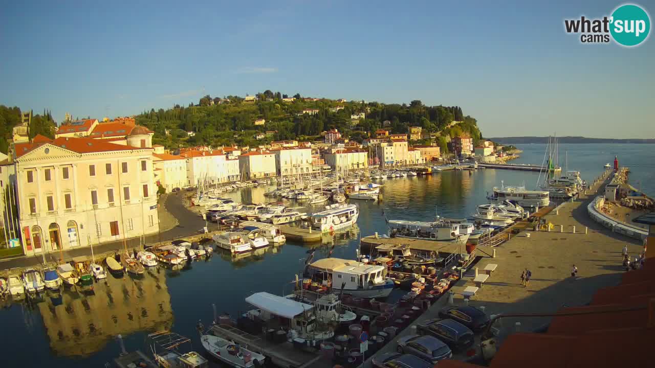 Iz Pirana Spletna kamera v živo “Mandrač” – Neverjeten pogled v živo iz Vile Piranesi