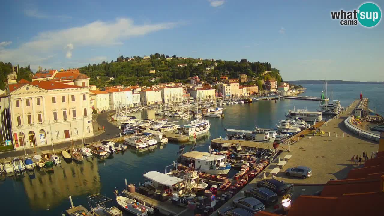 Web kamera uživo iz Pirana “Mandrač” – Nevjerojatan pogled uživo iz Ville Piranesi