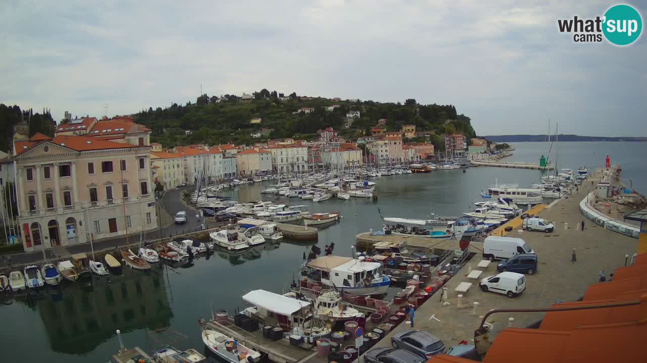 Live webcam from Piran “Mandrač” – Amazing live view from Villa Piranesi