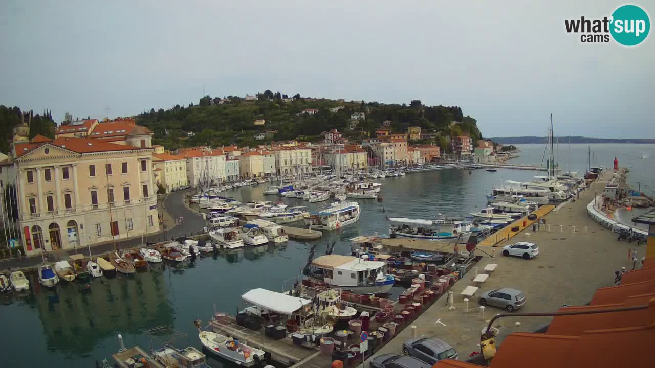 Live webcam da Pirano “Mandrač” – Splendida vista live da Villa Piranesi