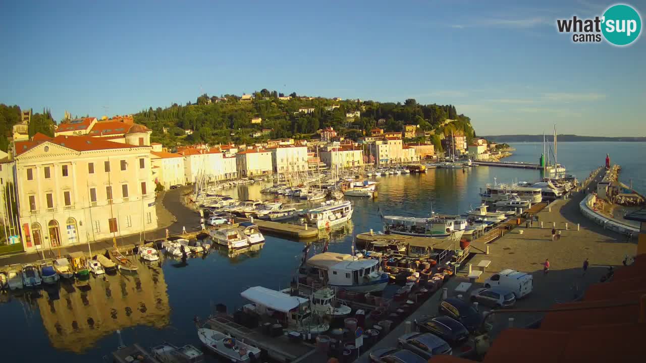 Web kamera uživo iz Pirana “Mandrač” – Nevjerojatan pogled uživo iz Ville Piranesi