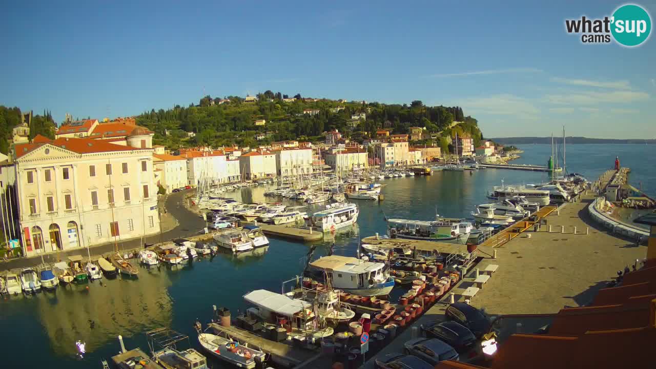 Web kamera uživo iz Pirana “Mandrač” – Nevjerojatan pogled uživo iz Ville Piranesi