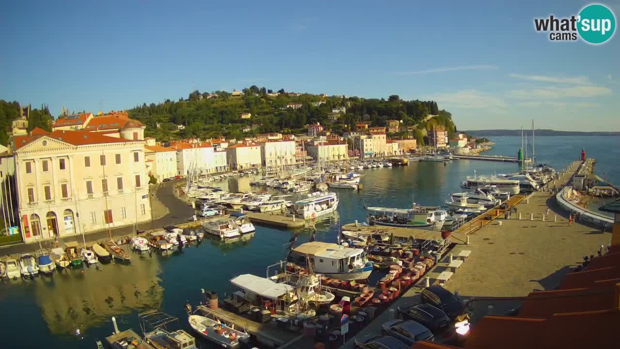 Web kamera uživo iz Pirana “Mandrač” – Nevjerojatan pogled uživo iz Ville Piranesi