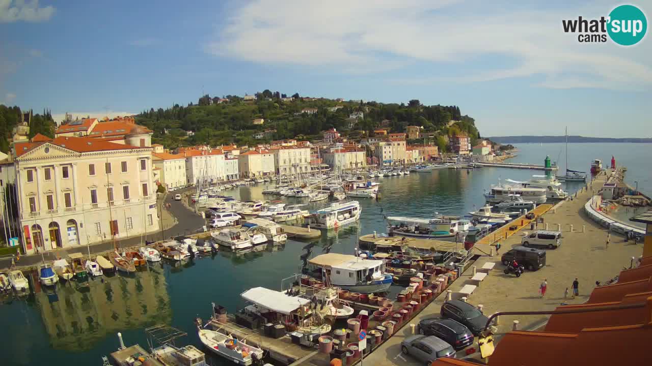 Iz Pirana Spletna kamera v živo “Mandrač” – Neverjeten pogled v živo iz Vile Piranesi
