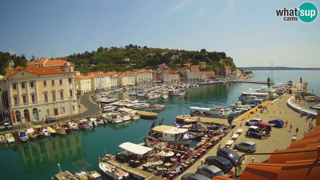 Iz Pirana Spletna kamera v živo “Mandrač” – Neverjeten pogled v živo iz Vile Piranesi