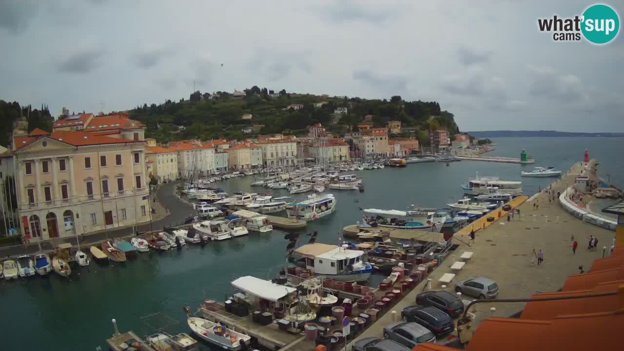 Iz Pirana Spletna kamera v živo “Mandrač” – Neverjeten pogled v živo iz Vile Piranesi