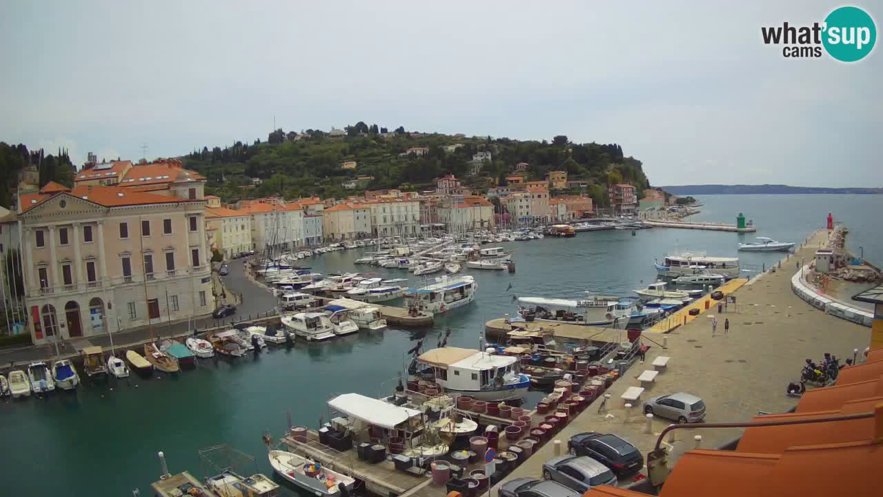 Live-Webcam aus Piran “Mandrač” – Erstaunliche Live-Ansicht von Villa Piranesi