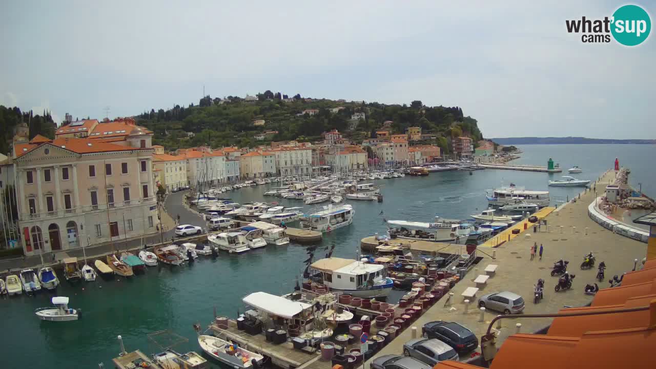 Webcam en direct de Piran “Mandrač” – Incroyable vue en direct de la Villa Piranesi
