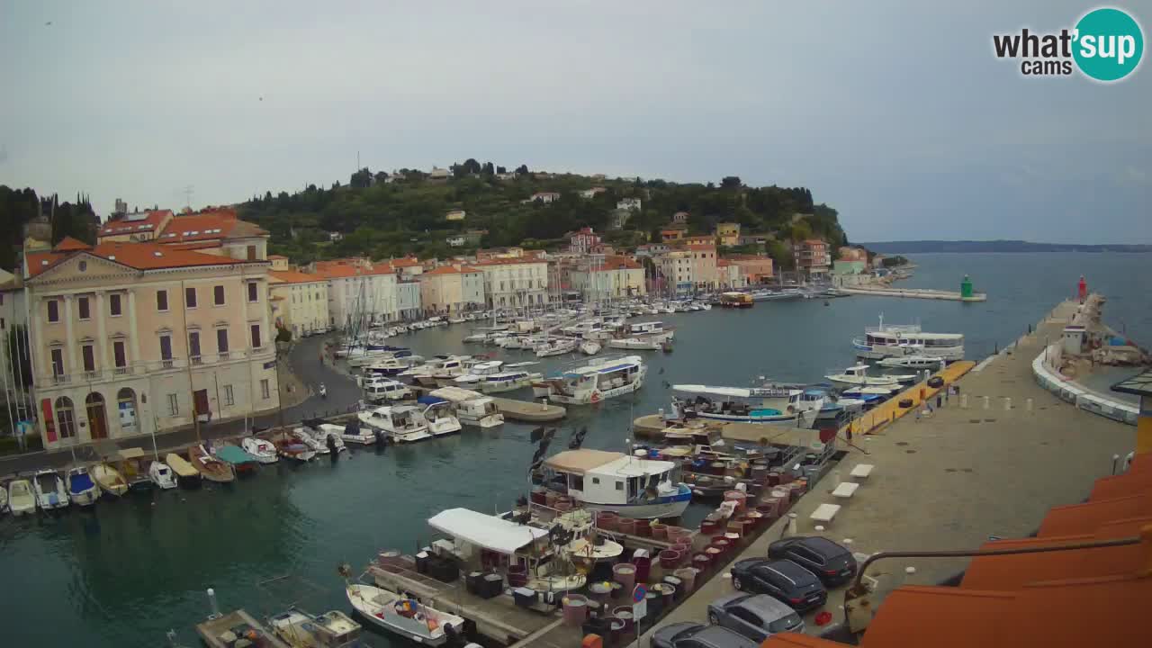 Live-Webcam aus Piran “Mandrač” – Erstaunliche Live-Ansicht von Villa Piranesi