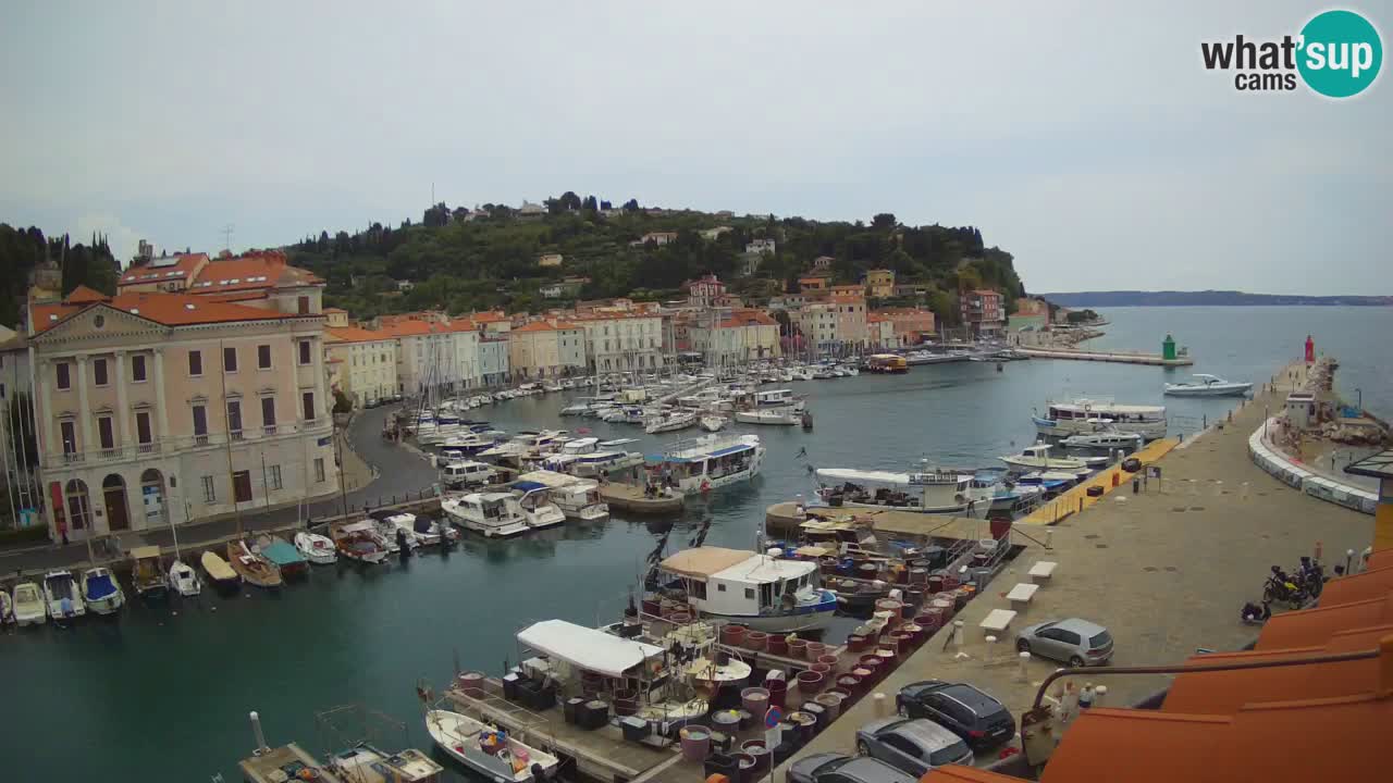 Live-Webcam aus Piran “Mandrač” – Erstaunliche Live-Ansicht von Villa Piranesi