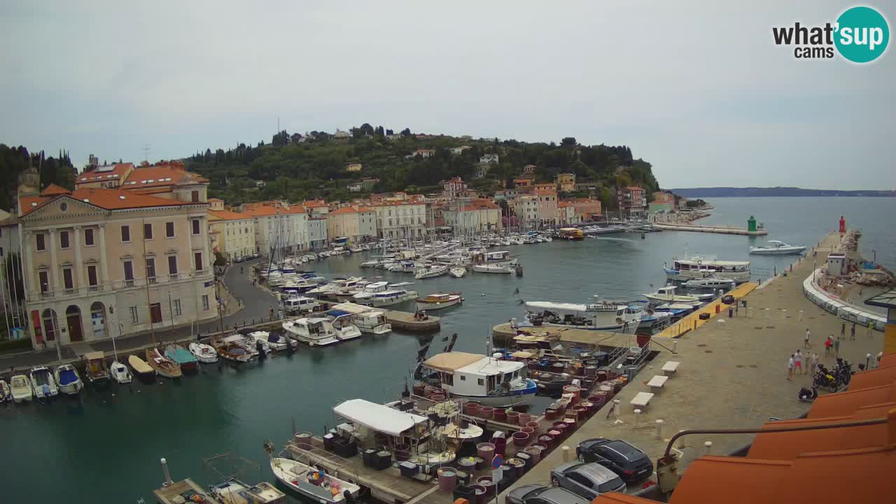 Webcam en direct de Piran “Mandrač” – Incroyable vue en direct de la Villa Piranesi