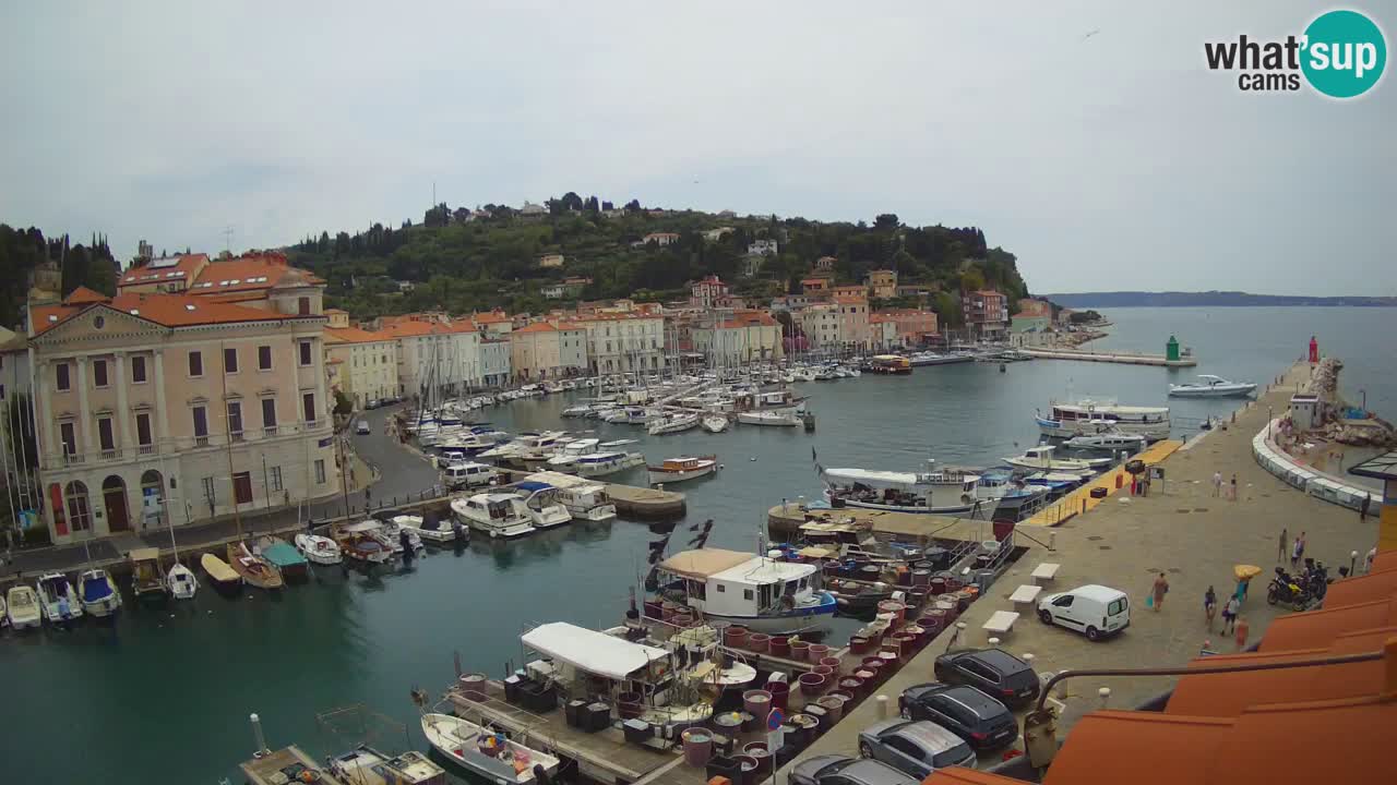 Live webcam da Pirano “Mandrač” – Splendida vista live da Villa Piranesi