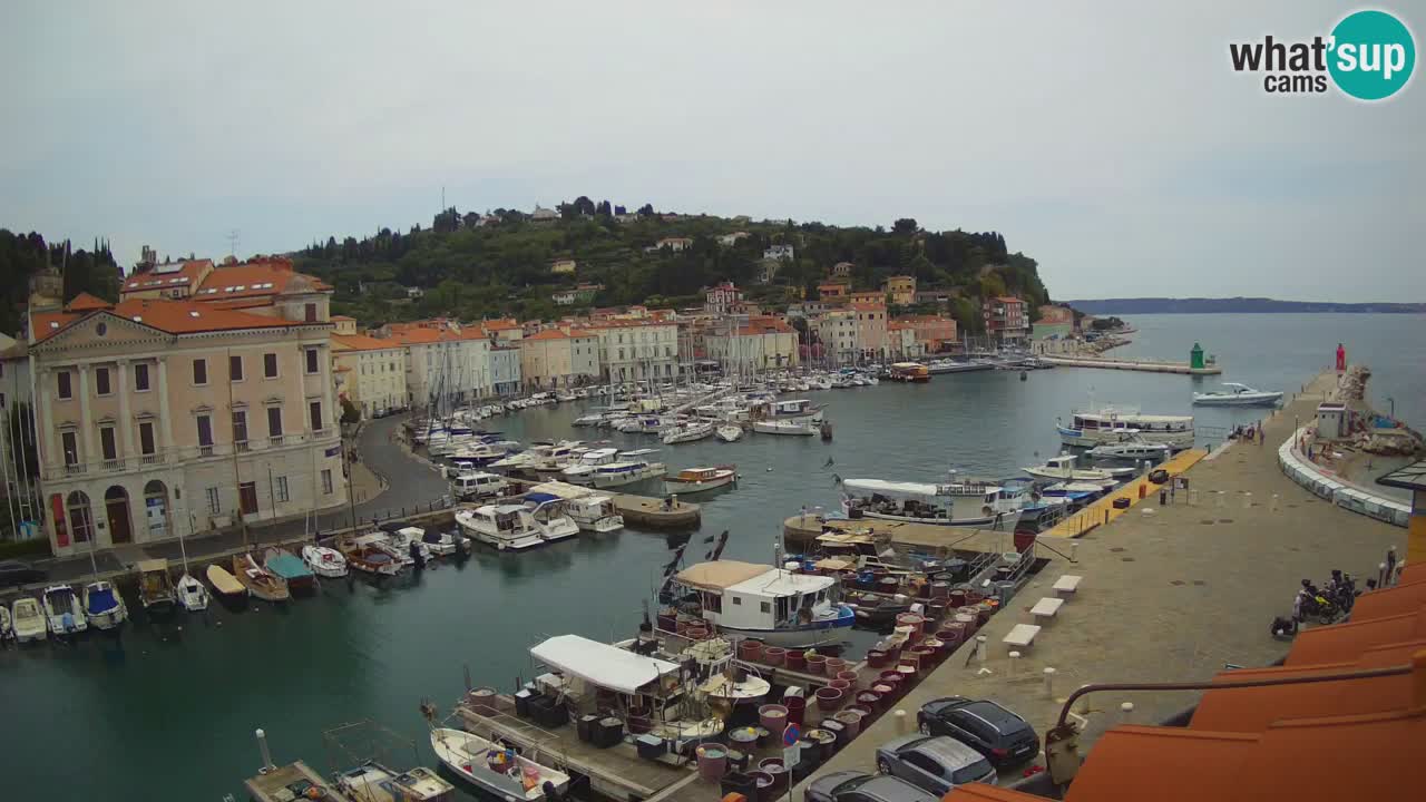 Live-Webcam aus Piran “Mandrač” – Erstaunliche Live-Ansicht von Villa Piranesi