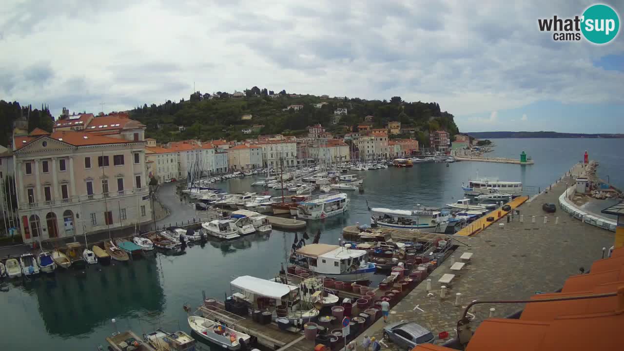 Iz Pirana Spletna kamera v živo “Mandrač” – Neverjeten pogled v živo iz Vile Piranesi