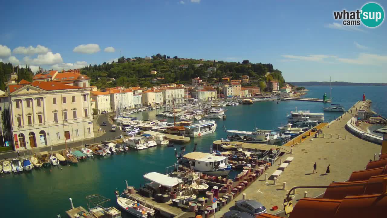 Web kamera uživo iz Pirana “Mandrač” – Nevjerojatan pogled uživo iz Ville Piranesi