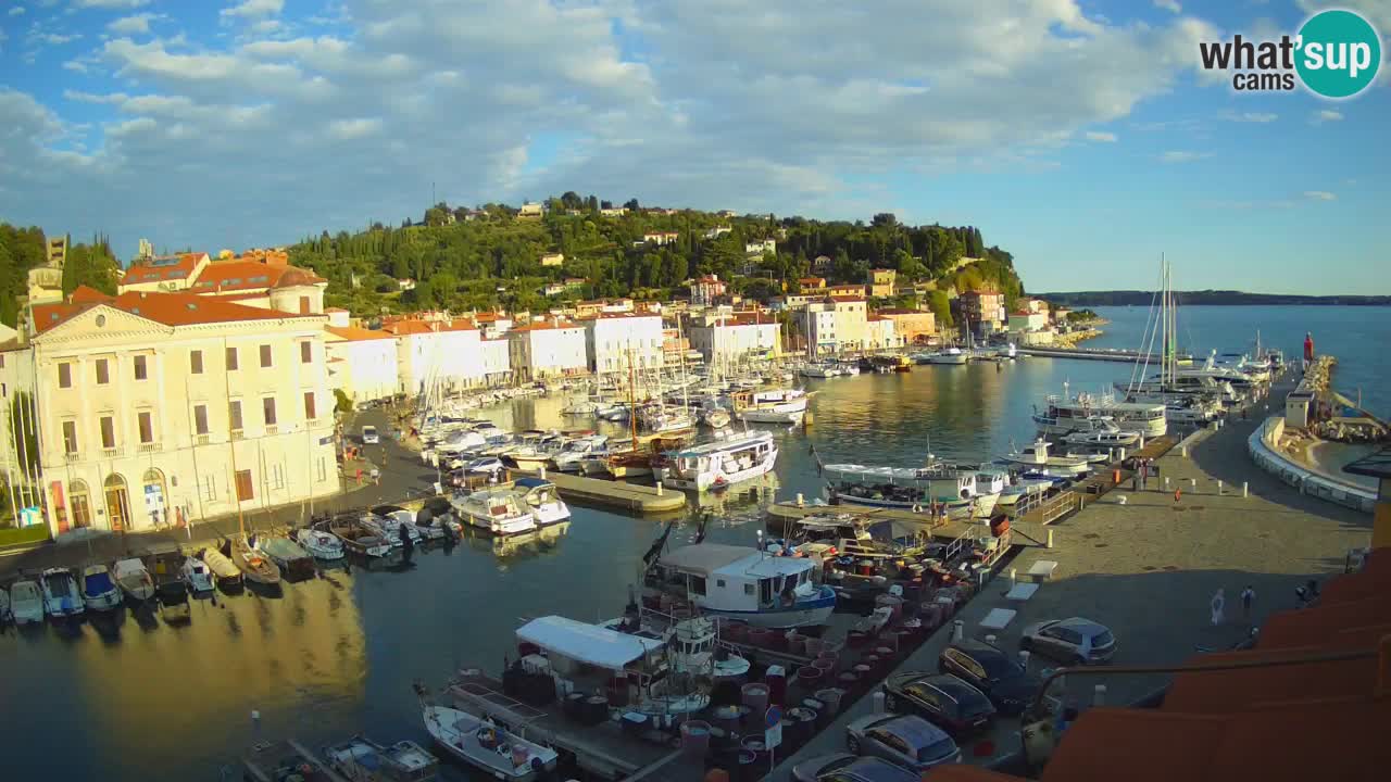 Iz Pirana Spletna kamera v živo “Mandrač” – Neverjeten pogled v živo iz Vile Piranesi