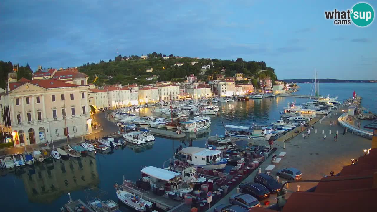 Web kamera uživo iz Pirana “Mandrač” – Nevjerojatan pogled uživo iz Ville Piranesi