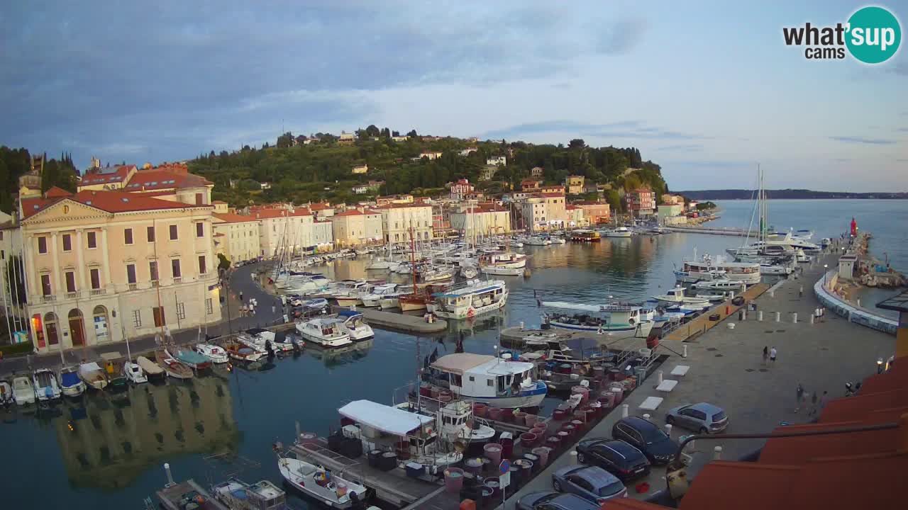 Web kamera uživo iz Pirana “Mandrač” – Nevjerojatan pogled uživo iz Ville Piranesi