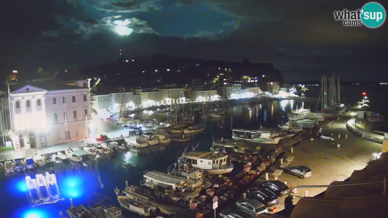 Iz Pirana Spletna kamera v živo “Mandrač” – Neverjeten pogled v živo iz Vile Piranesi