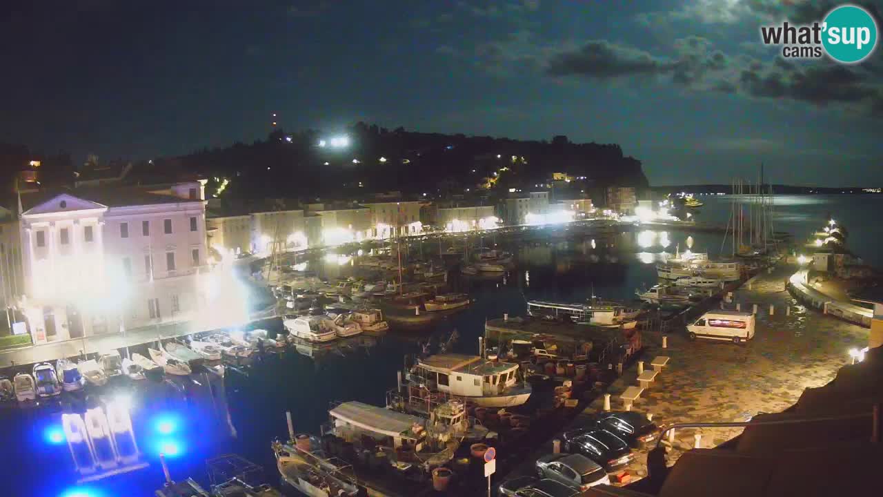 Iz Pirana Spletna kamera v živo “Mandrač” – Neverjeten pogled v živo iz Vile Piranesi
