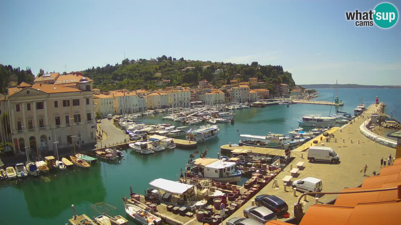 Live webcam da Pirano “Mandrač” – Splendida vista live da Villa Piranesi