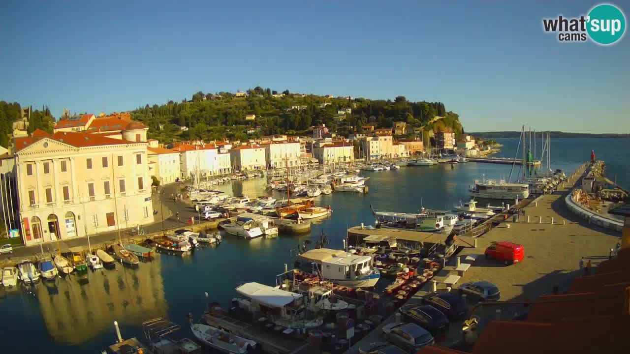 Web kamera uživo iz Pirana “Mandrač” – Nevjerojatan pogled uživo iz Ville Piranesi