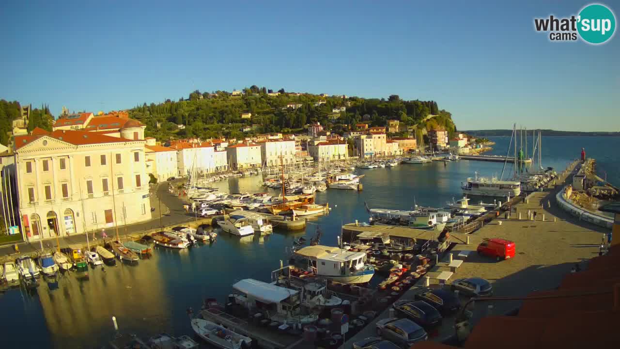 Iz Pirana Spletna kamera v živo “Mandrač” – Neverjeten pogled v živo iz Vile Piranesi