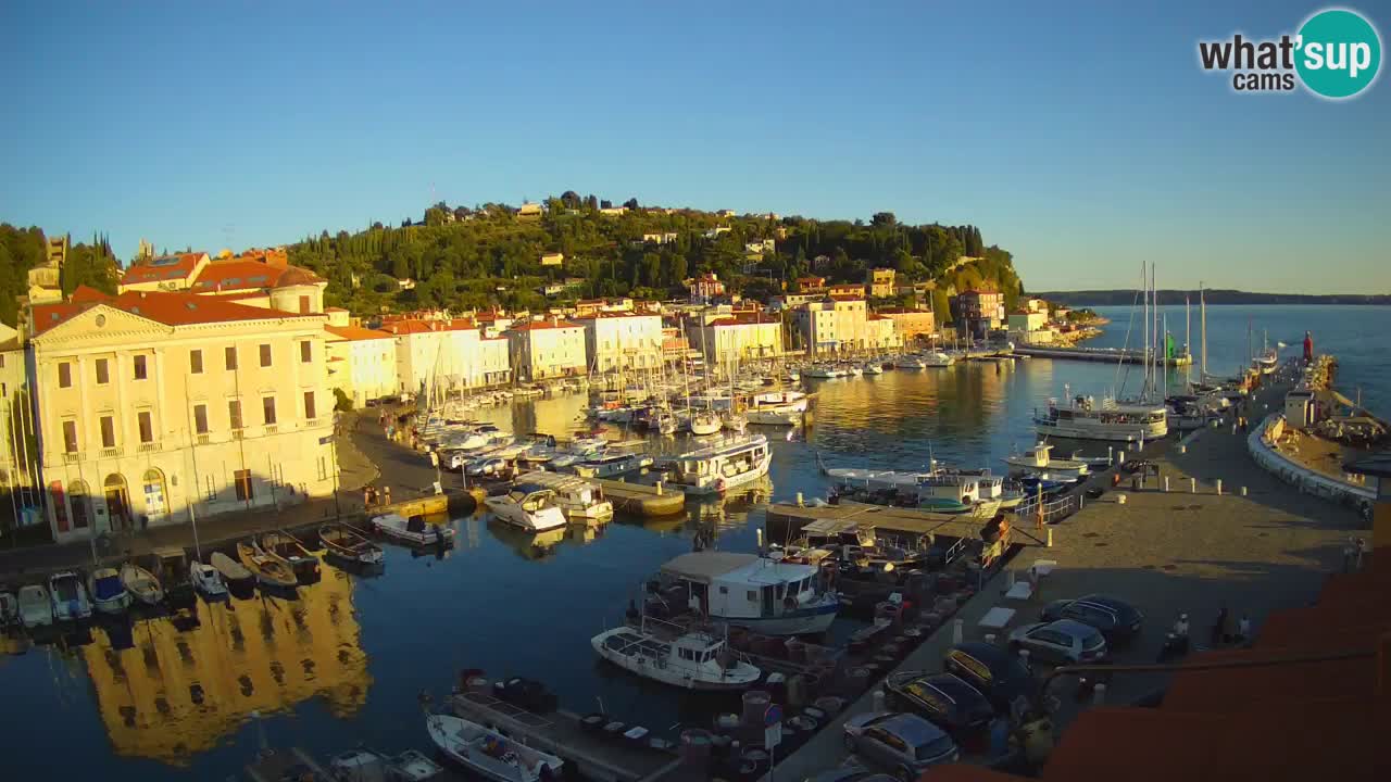 Iz Pirana Spletna kamera v živo “Mandrač” – Neverjeten pogled v živo iz Vile Piranesi