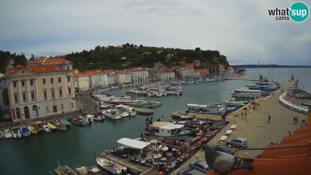 Webcam en direct de Piran “Mandrač” – Incroyable vue en direct de la Villa Piranesi