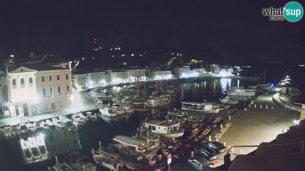 Iz Pirana Spletna kamera v živo “Mandrač” – Neverjeten pogled v živo iz Vile Piranesi