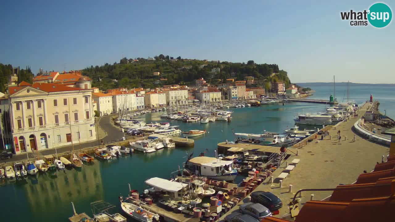 Iz Pirana Spletna kamera v živo “Mandrač” – Neverjeten pogled v živo iz Vile Piranesi