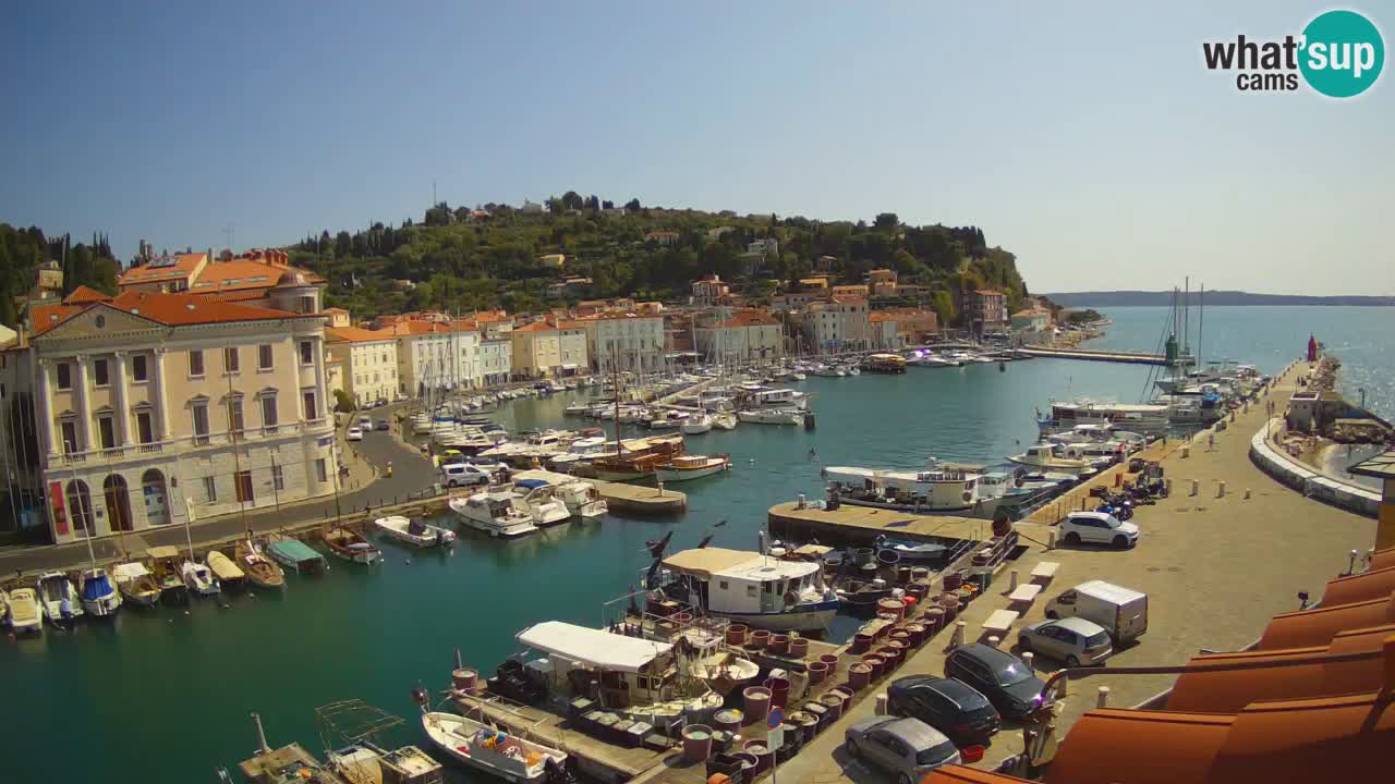 Web kamera uživo iz Pirana “Mandrač” – Nevjerojatan pogled uživo iz Ville Piranesi