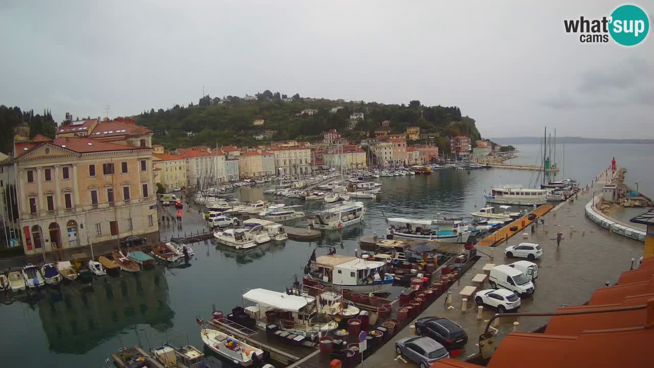 Webcam en direct de Piran “Mandrač” – Incroyable vue en direct de la Villa Piranesi