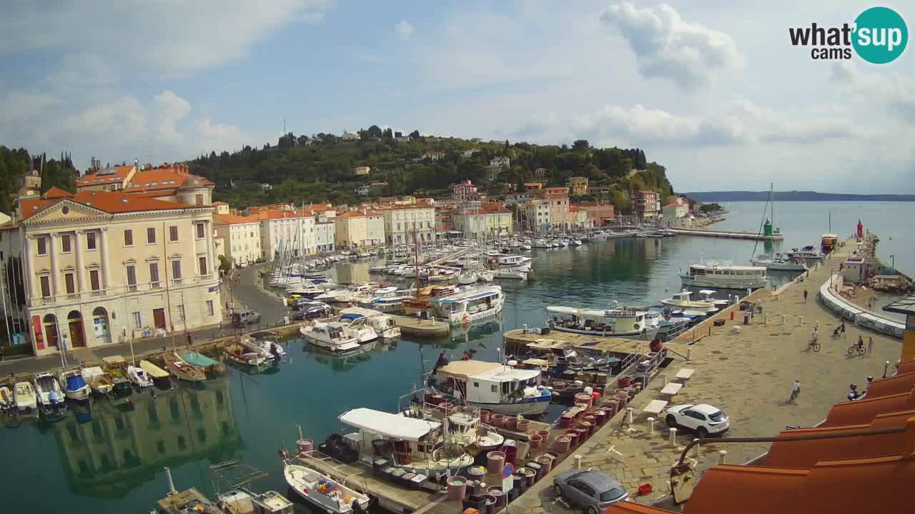 Iz Pirana Spletna kamera v živo “Mandrač” – Neverjeten pogled v živo iz Vile Piranesi