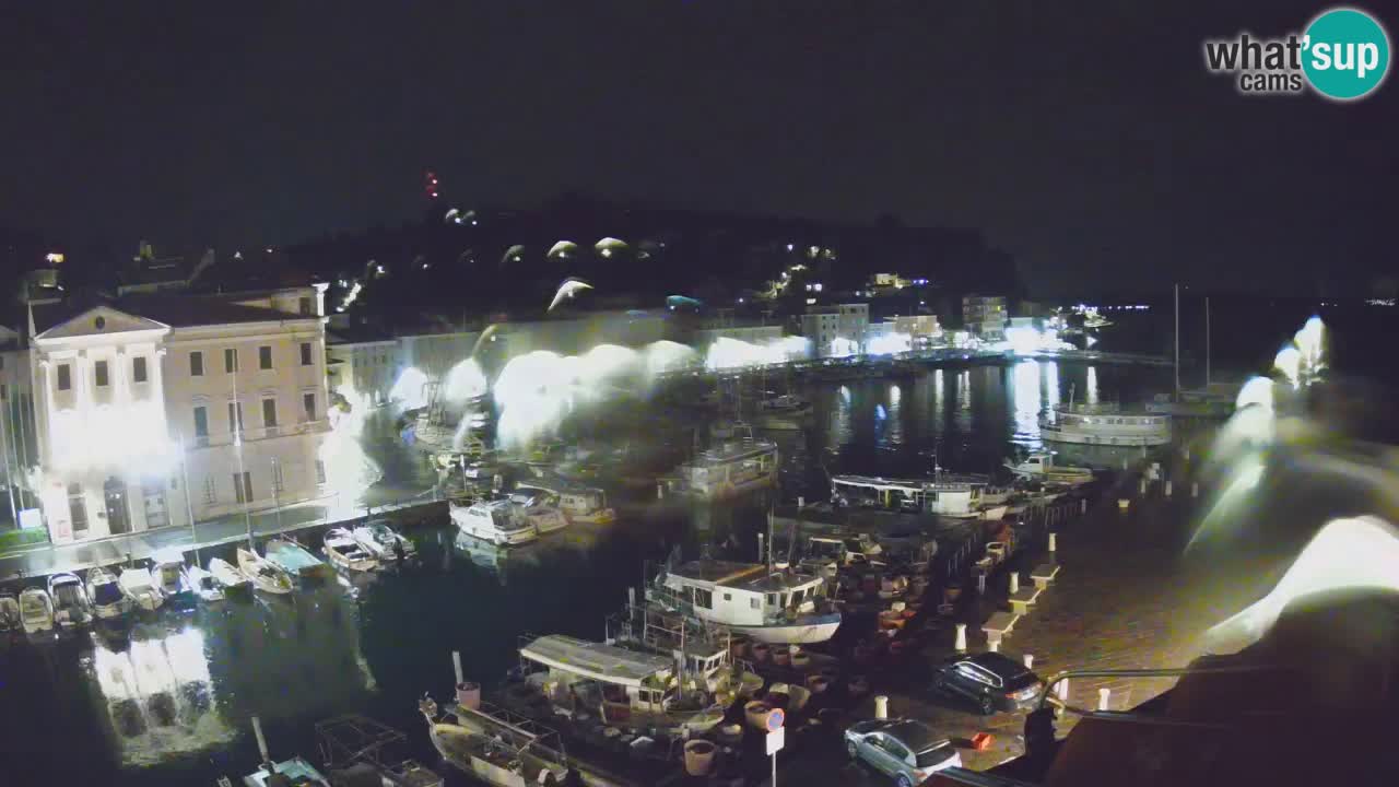 Cámara web en vivo desde Piran “Mandrač” – Increíble vista en vivo desde Villa Piranesi